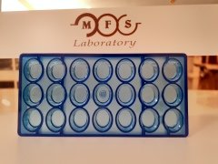 0086 - Yuvarlak Kase Çikolata Kalıbı