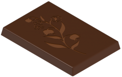 1723 - Moule rectangulaire en polycarbonate décoré pour chocolat