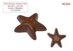 1841 - Moule à chocolat en forme d'étoile